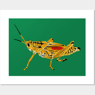 Eastern Lubber Grasshopper Posters and Art